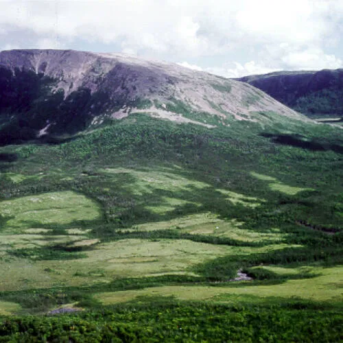 Gros Morne National Park