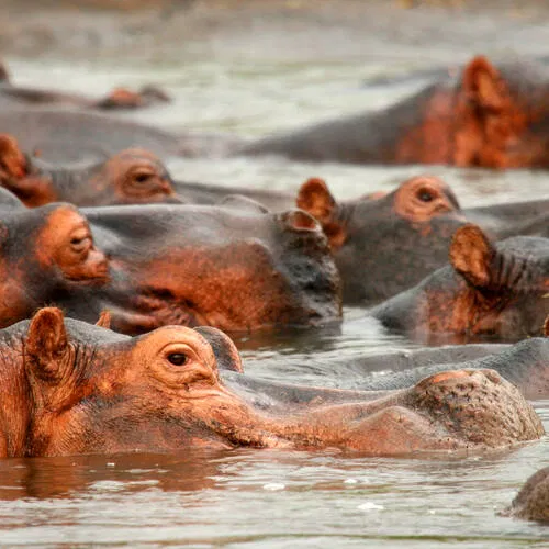 Garamba National Park