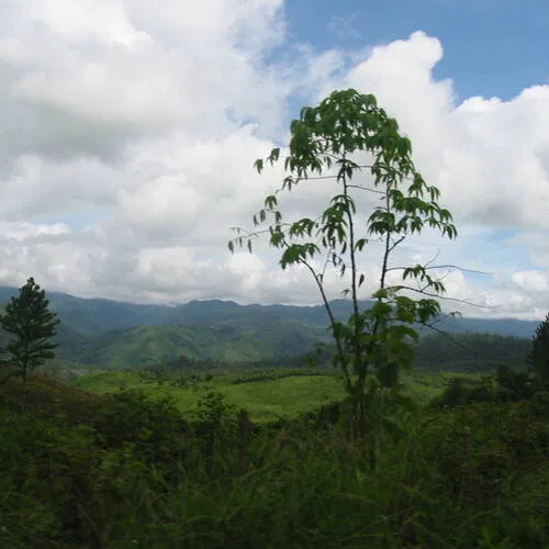 Río Plátano Biosphere Reserve